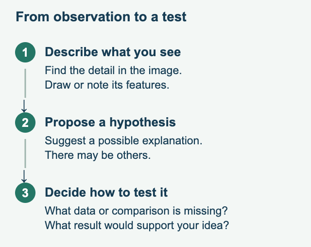 Three steps: describe and locate a visible detail; propose an explanation as a hypothesis; decide what new evidence would help test it.